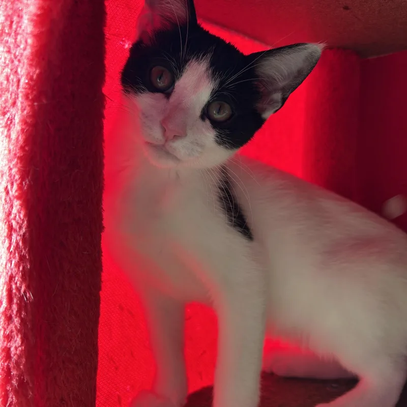 Mia Mae thumbnail 5