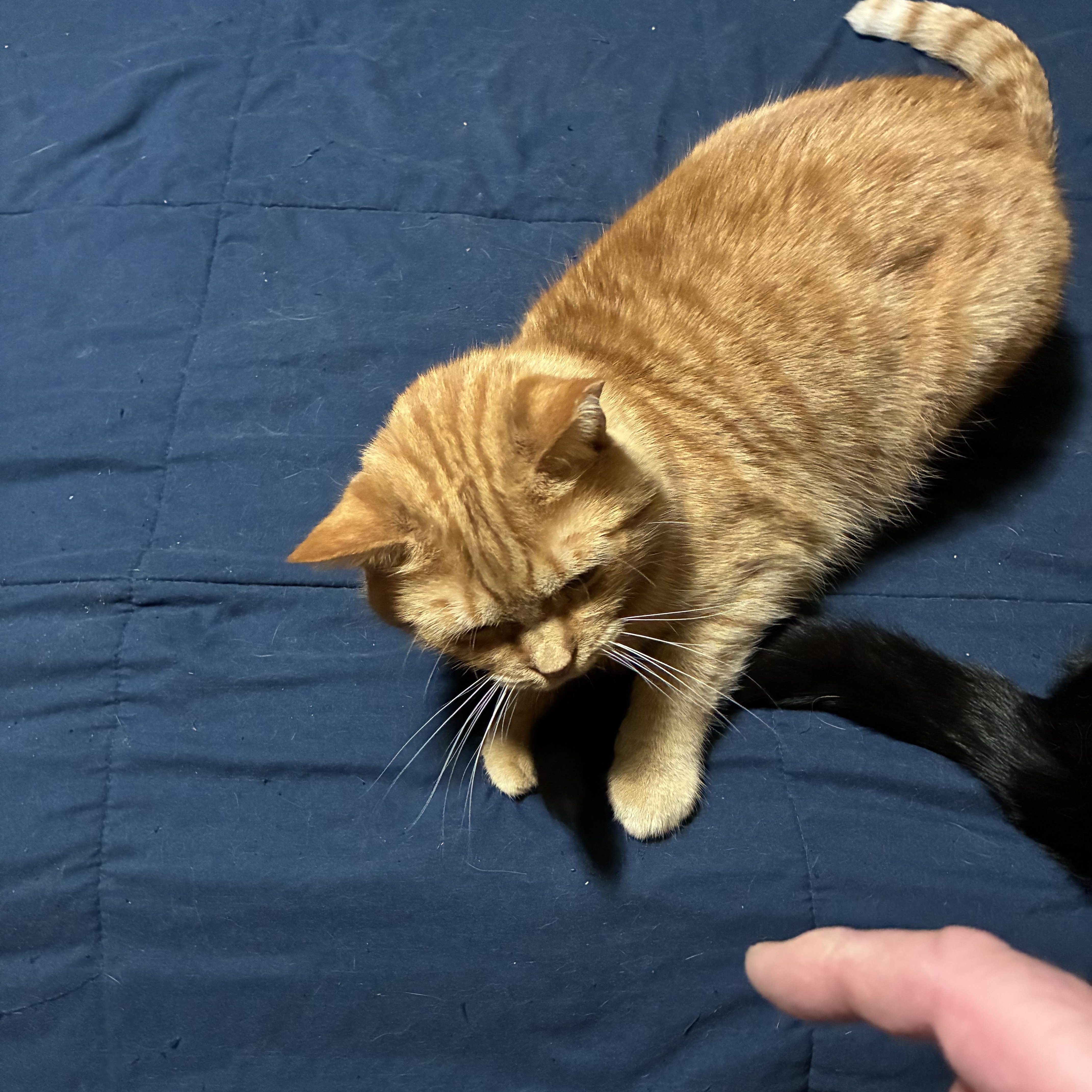 Christopher thumbnail 2