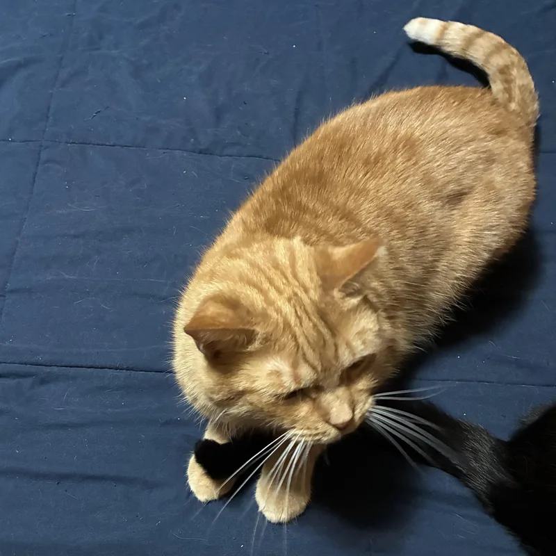 Christopher thumbnail 3