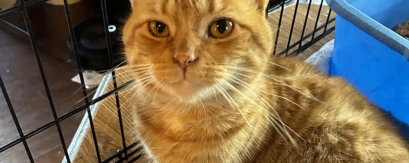 Christopher thumbnail 4