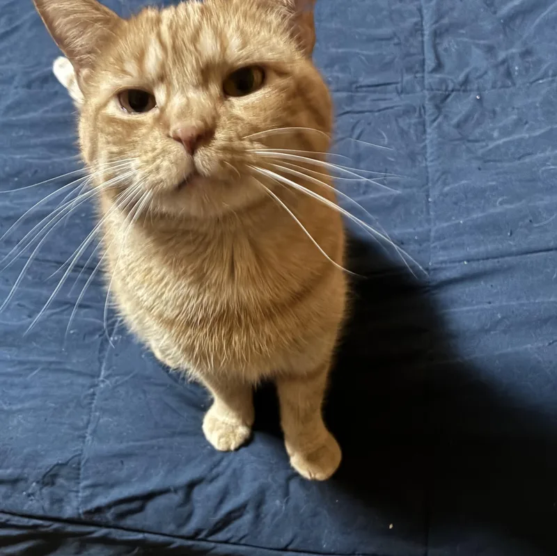 Christopher thumbnail 5