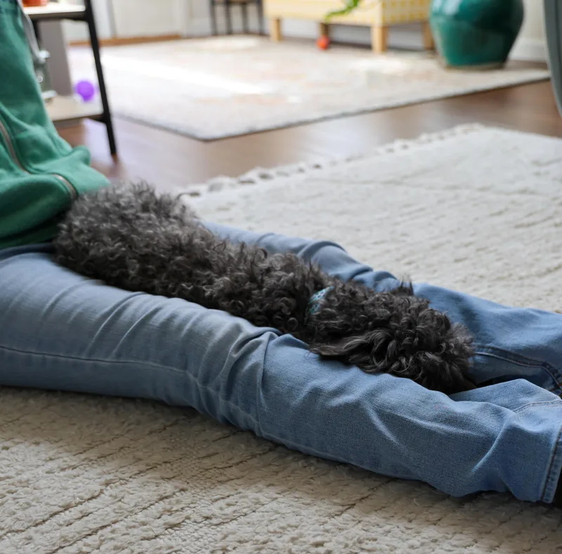 PhilomenaSingle Pet Home thumbnail 2