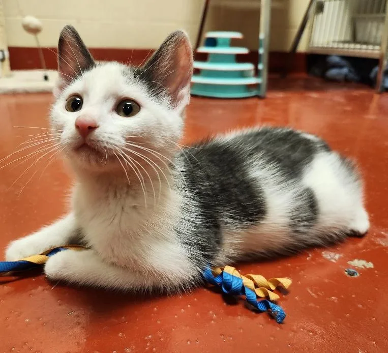 Ocean Spray thumbnail 2