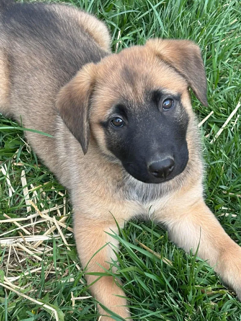 Coco's Bistro thumbnail 2