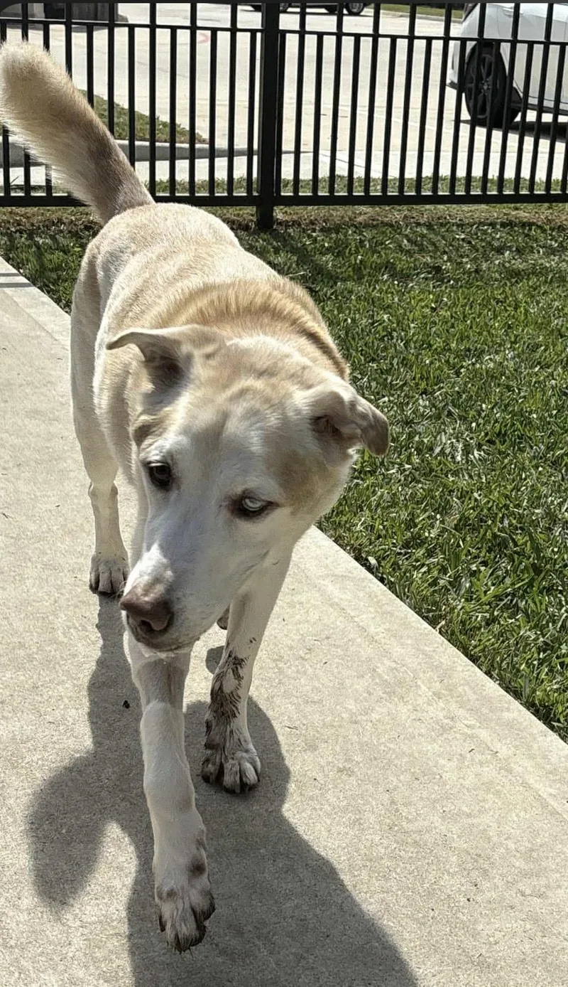 Theodore thumbnail 4