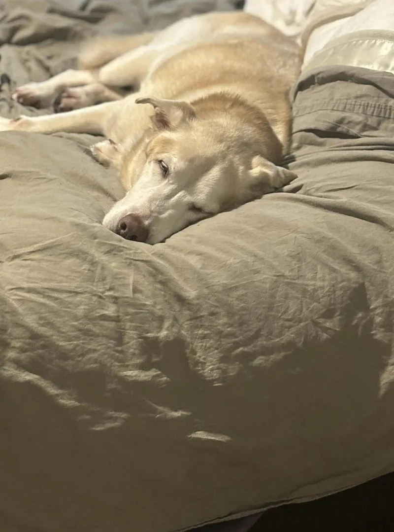 Theodore thumbnail 6