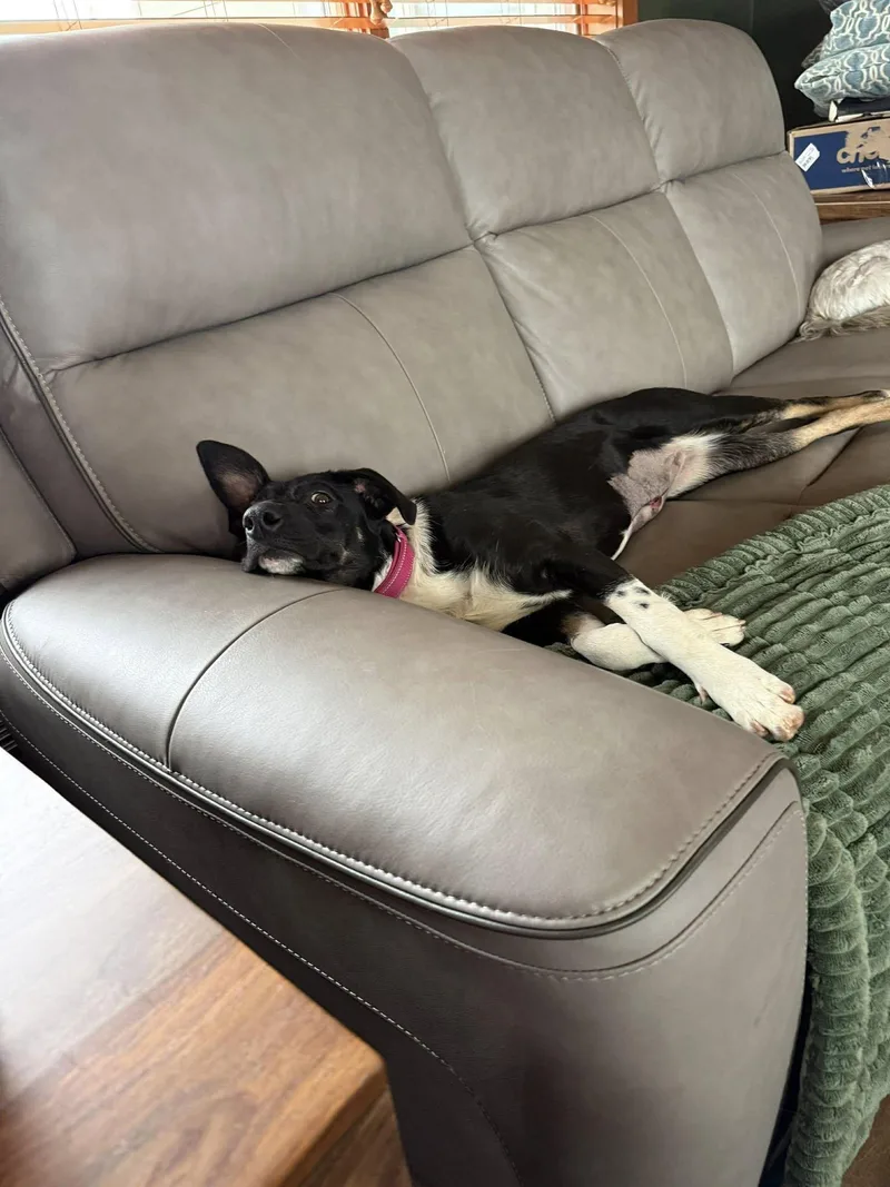 Cindy Lou thumbnail 3