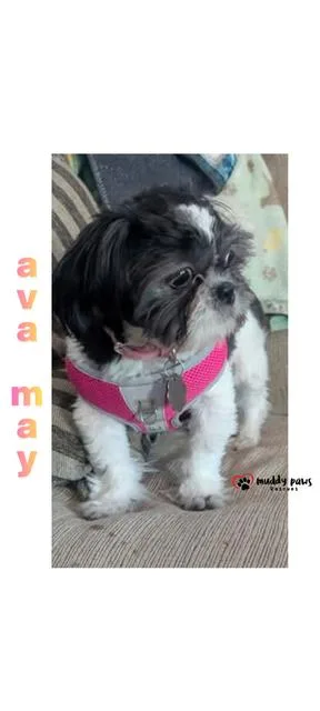 Ava May  No thumbnail 3