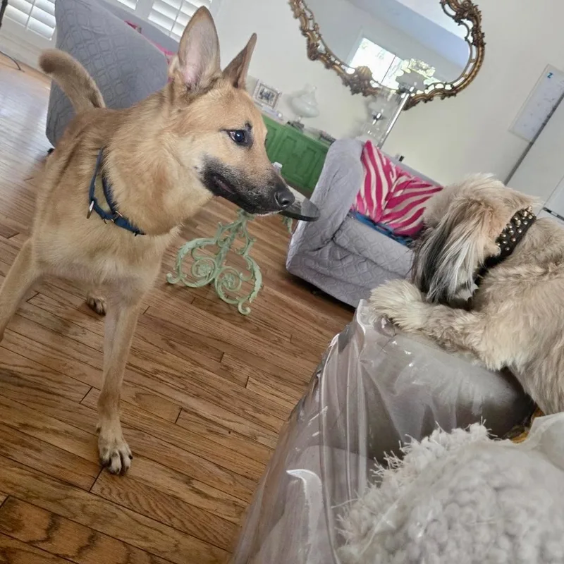 Terrence thumbnail 2