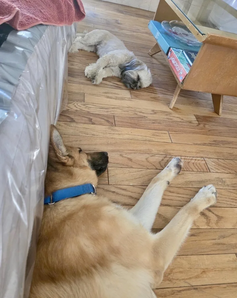 Terrence thumbnail 3