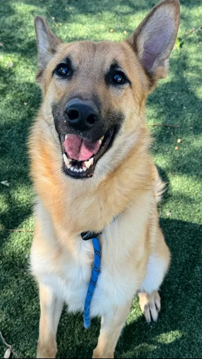 Terrence thumbnail 4