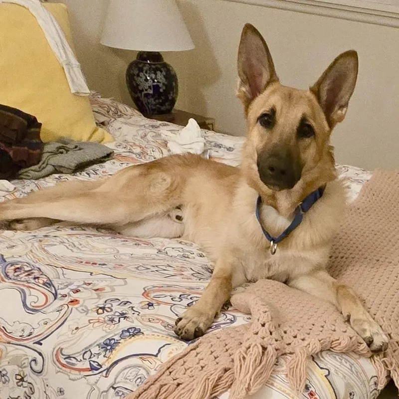 Terrence thumbnail 5