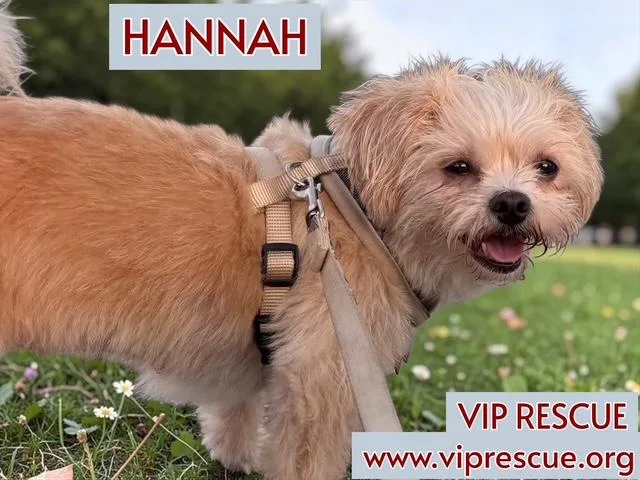 Hannah And Nelle  thumbnail 2