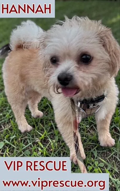 Hannah And Nelle  thumbnail 4