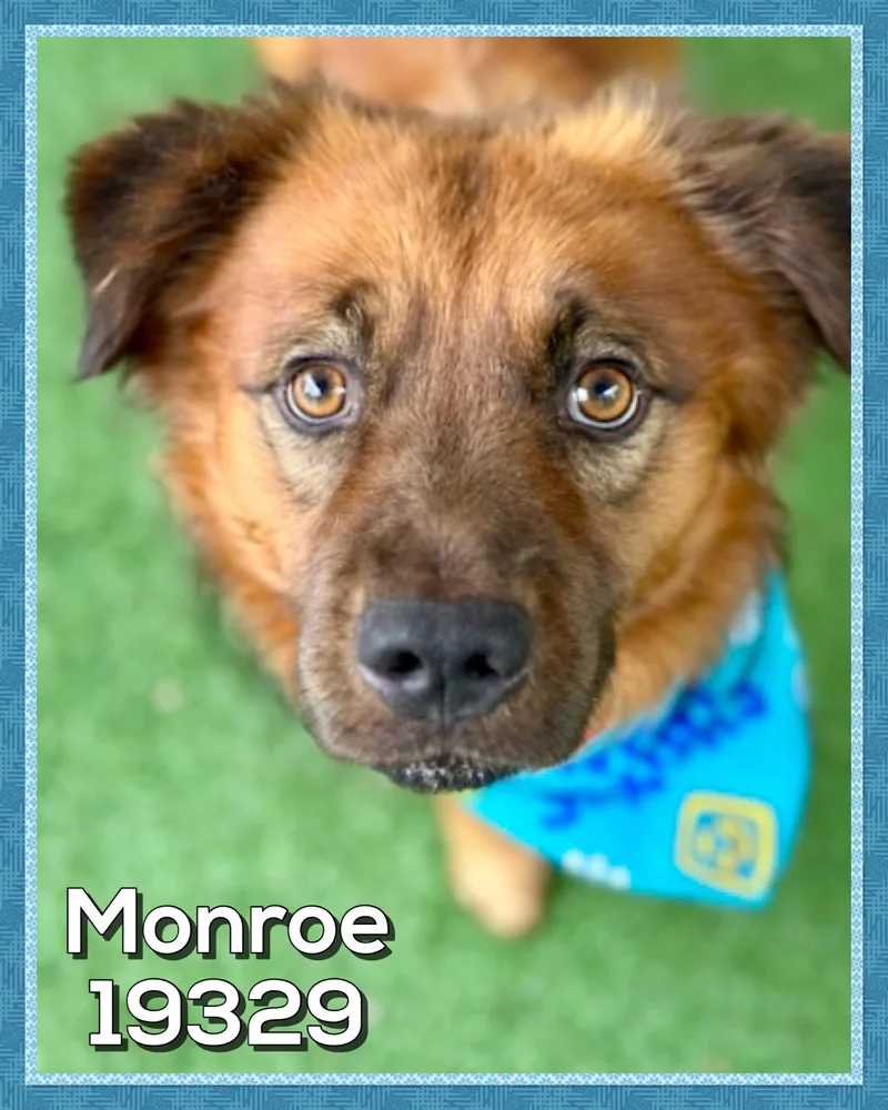 Monroe thumbnail 2