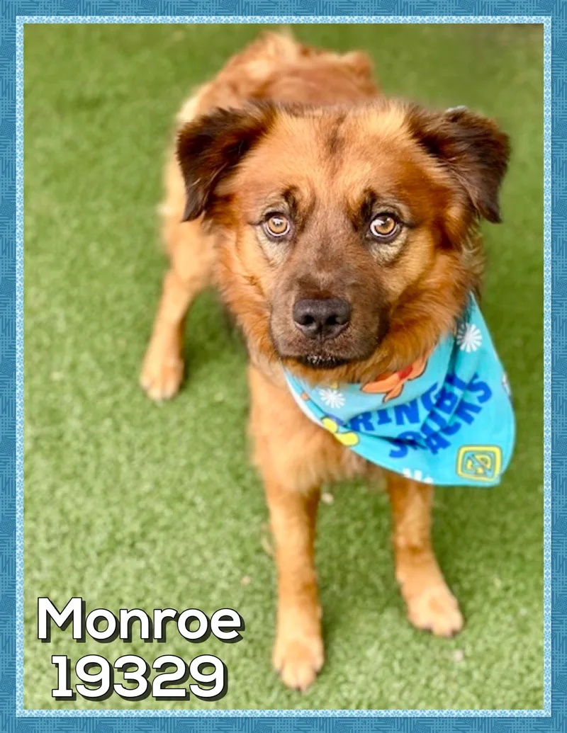 Monroe thumbnail 3