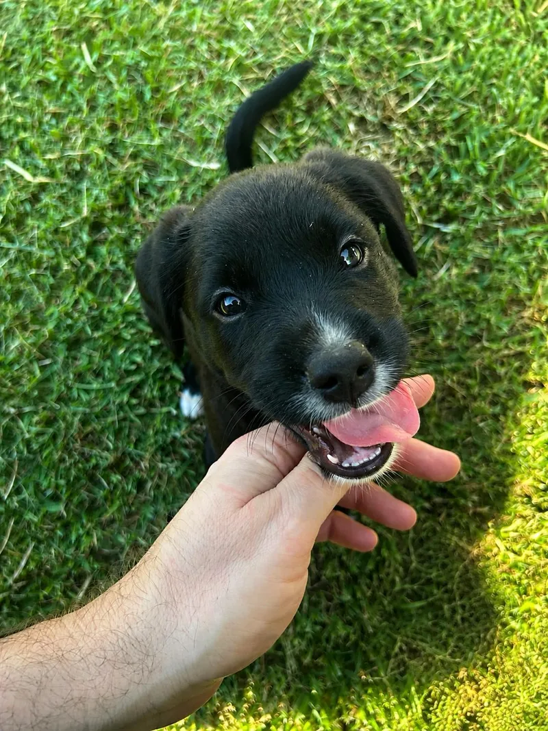 Roxy