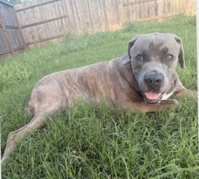 Zara  the Sweet