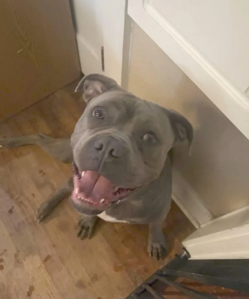 Zara  the Sweet thumbnail 3