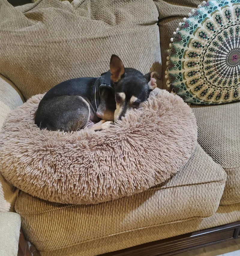 Tater