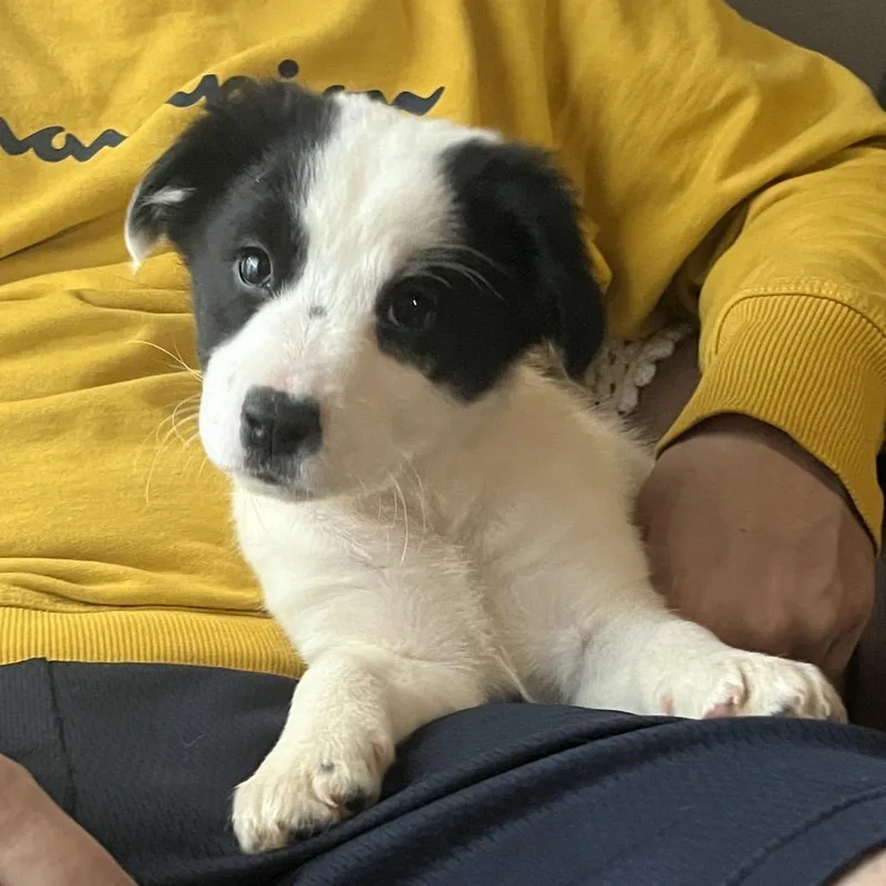 Oh Fluffy Butt thumbnail 2