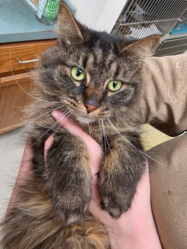 Eleanor thumbnail 3