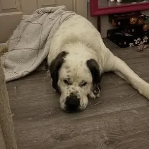 Turqouise thumbnail 2