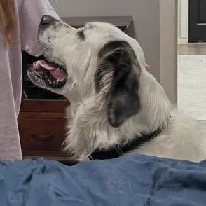 Turqouise thumbnail 3