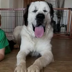 Turqouise thumbnail 4