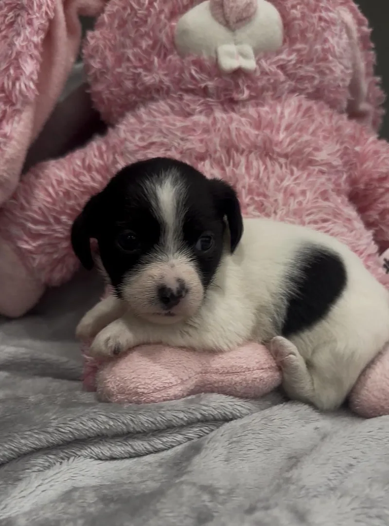 Raindrop thumbnail 2