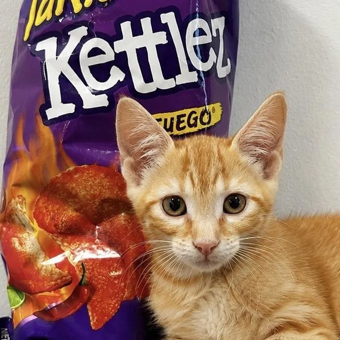 Taki