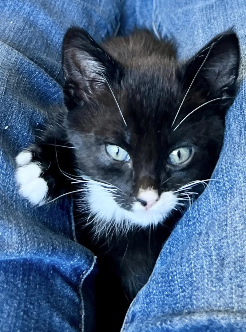 Bruce thumbnail 3
