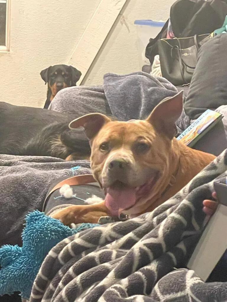 Oh Romeo!! Oh Romeo!!