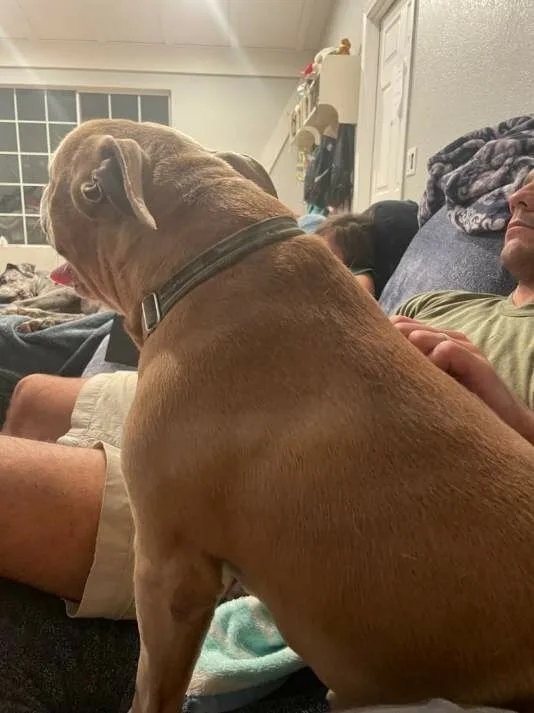 Oh Romeo!! Oh Romeo!! thumbnail 3