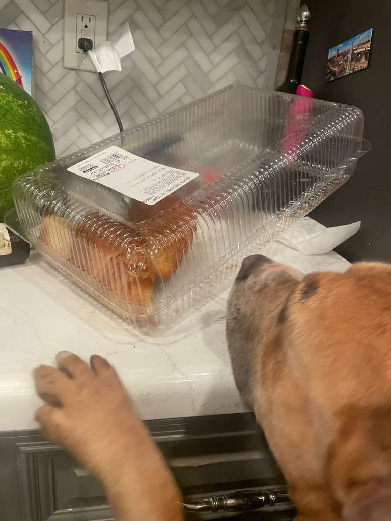 Oh Romeo!! Oh Romeo!! thumbnail 4