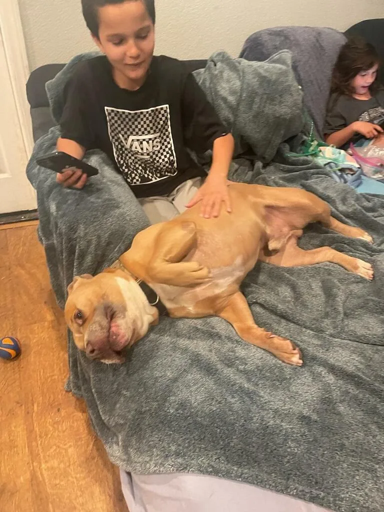 Oh Romeo!! Oh Romeo!! thumbnail 5