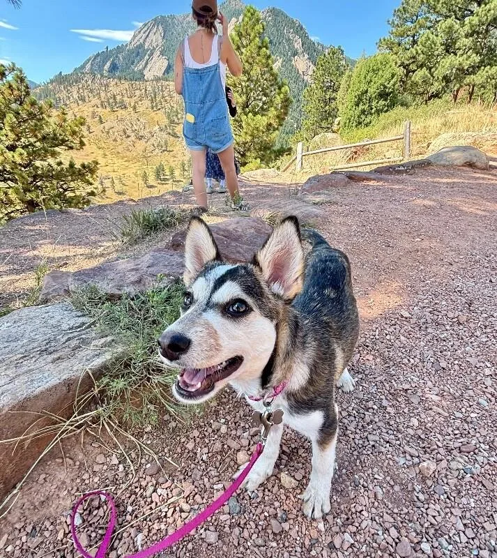 Aspen