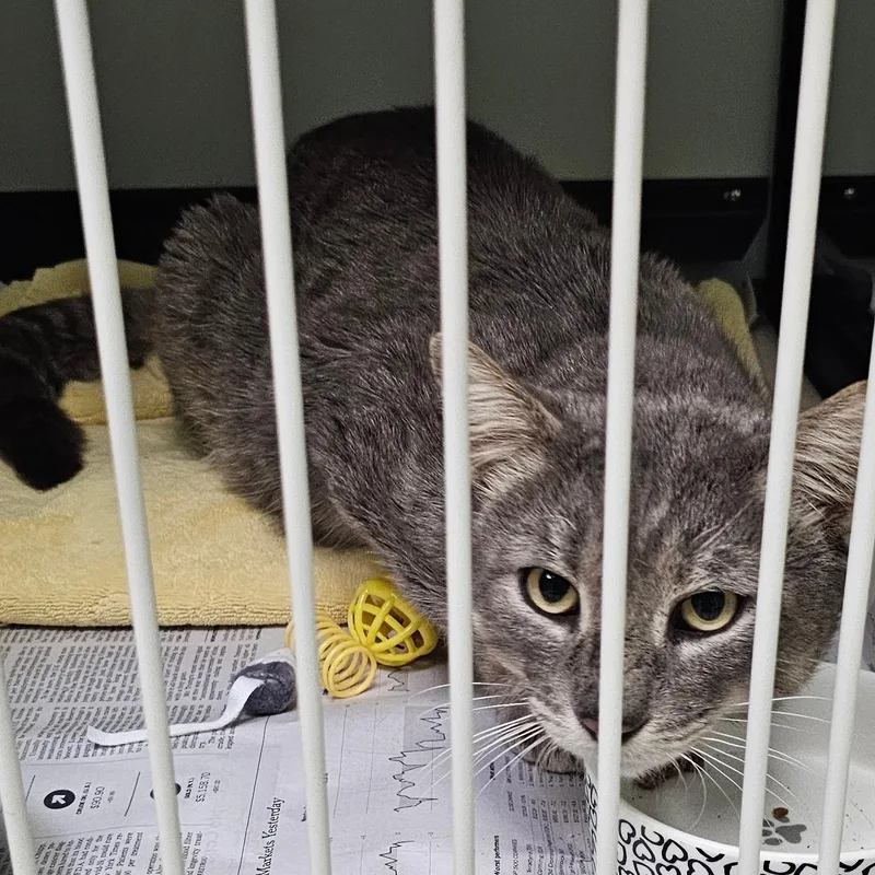 Joe Hill thumbnail 2