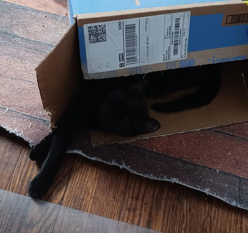 Nike B.  Funny thumbnail 4