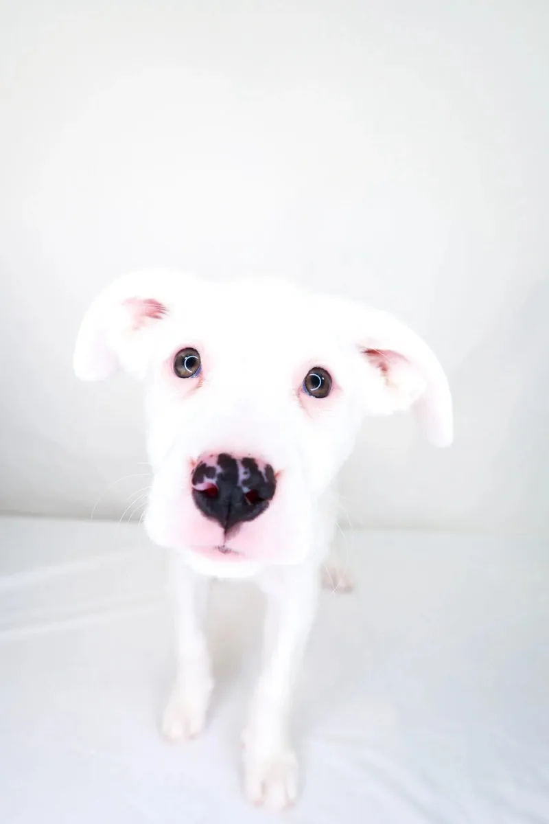Allie thumbnail 3