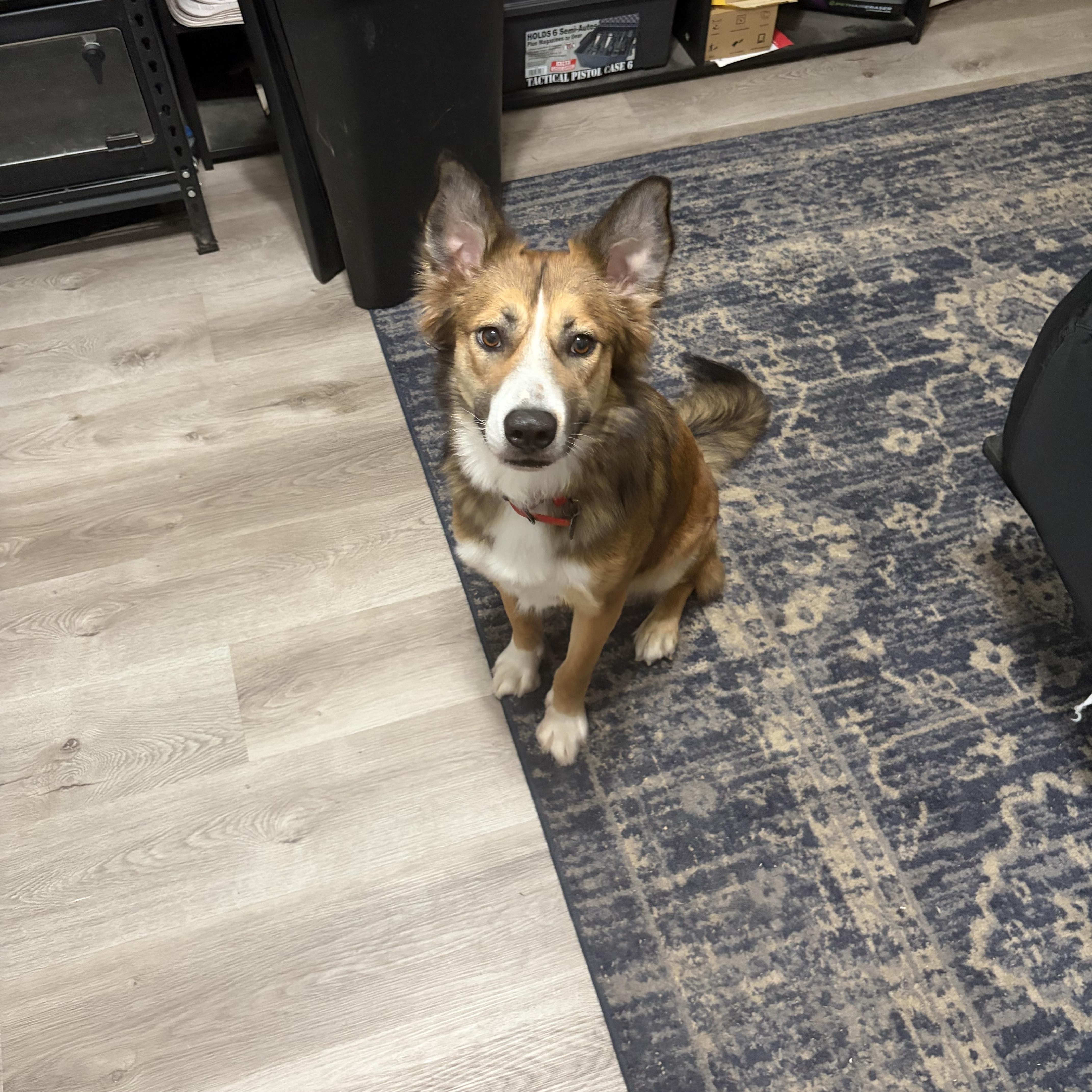 Skye