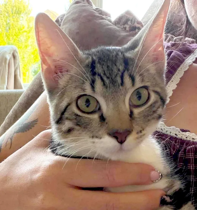Obi thumbnail 3