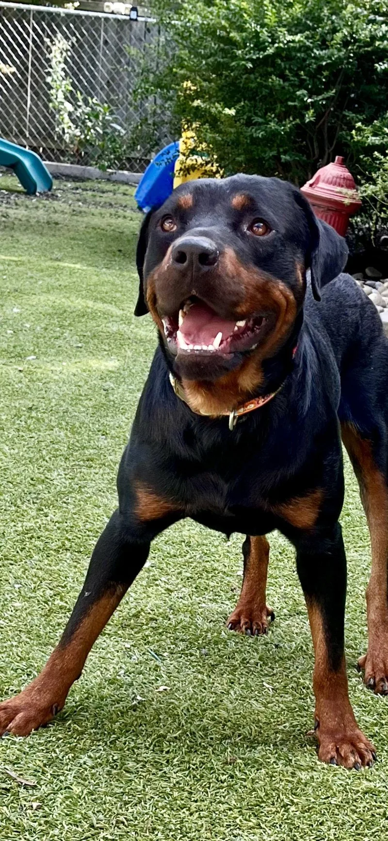 Ben