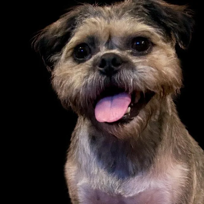 Ravioli – Happy Little