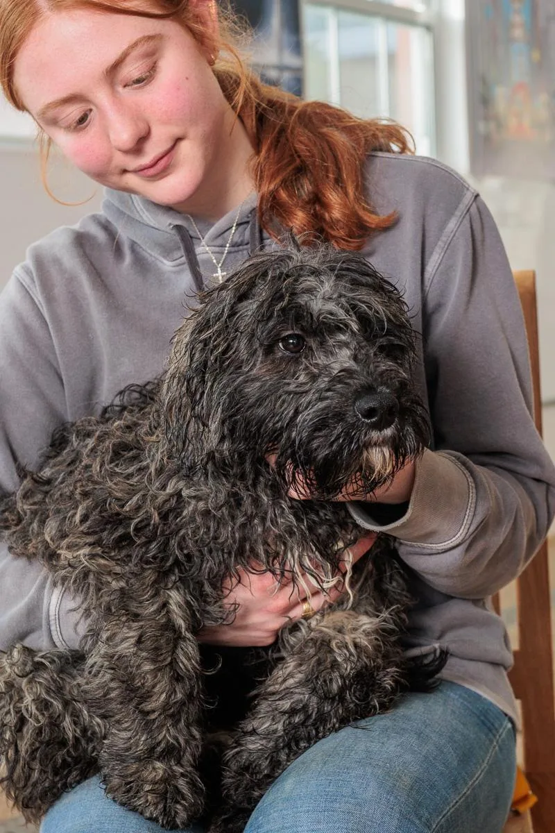 Bridget And Bernie thumbnail 2