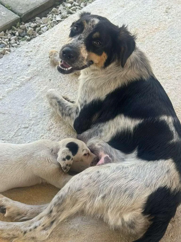 Patty  The Precious! thumbnail 2