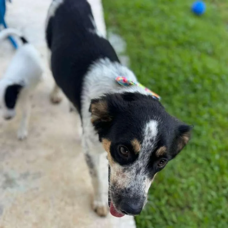 Patty  The Precious! thumbnail 3