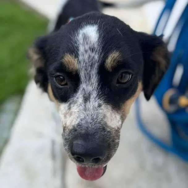 Patty  The Precious! thumbnail 4