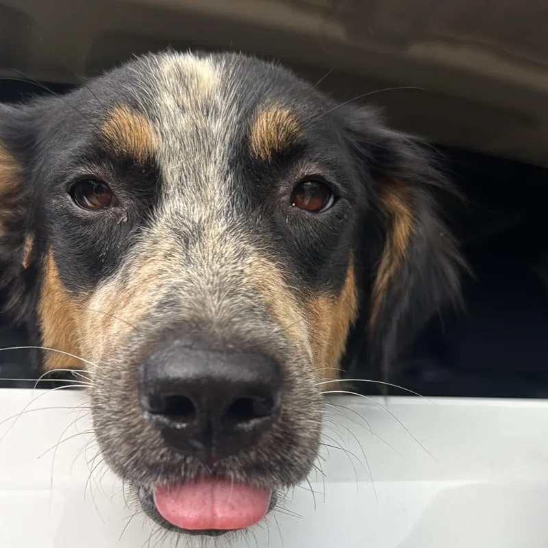 Patty  The Precious! thumbnail 5