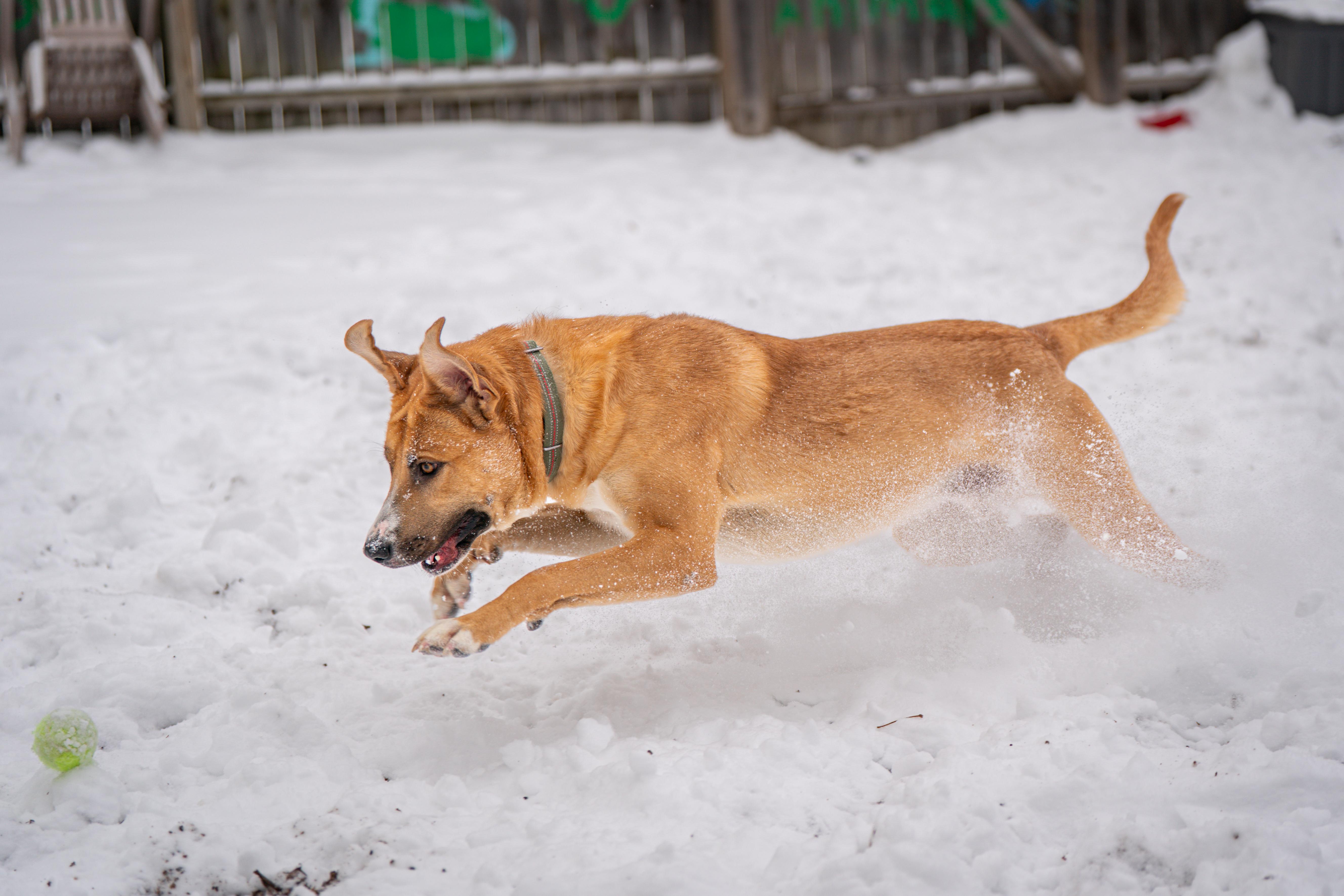 Hank Williams thumbnail 6